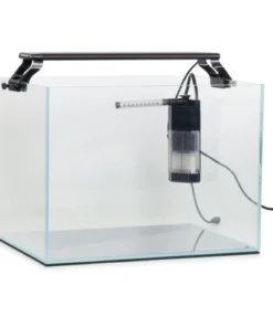 AquaZen 10 Gallon Aquarium