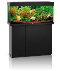 Juwel Rio 180 LED Aquarium mit Unterschrank – Tropisches Komplettset kaufen