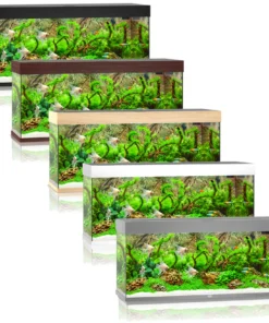 Juwel Rio 240 LED Aquarium kaufen