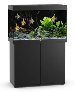 Juwel Rio 290 LED Aquarium & Schrank