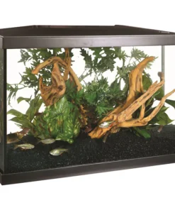 Aquarium online kaufen Deutschland