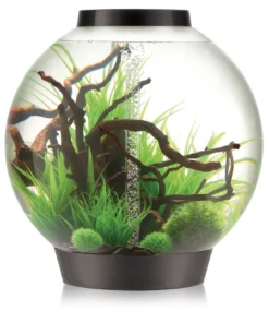 biOrb Classic MCR 105L Aquarium kaufen