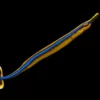 Blaustreifiger Seenadel – Doryrhamphus excisus