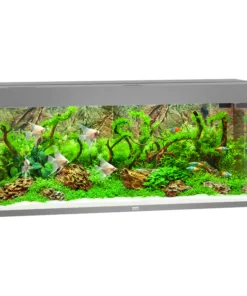 Juwel Rio 240 LED Aquarium kaufen