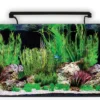 Aqua One AquaNano 60 Aquarium 100L