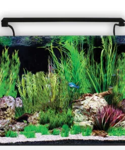 Aqua One AquaNano 60 Aquarium 100L